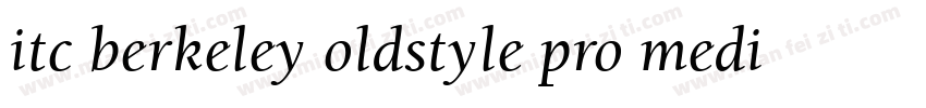 itc berkeley oldstyle pro medium字体转换